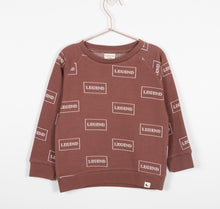 Load image into Gallery viewer, Lilly+Sid Legend Sweat Brick Color Super Comfortable