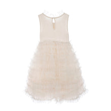 Load image into Gallery viewer, Petite Adele Embroidery Tulle Dress